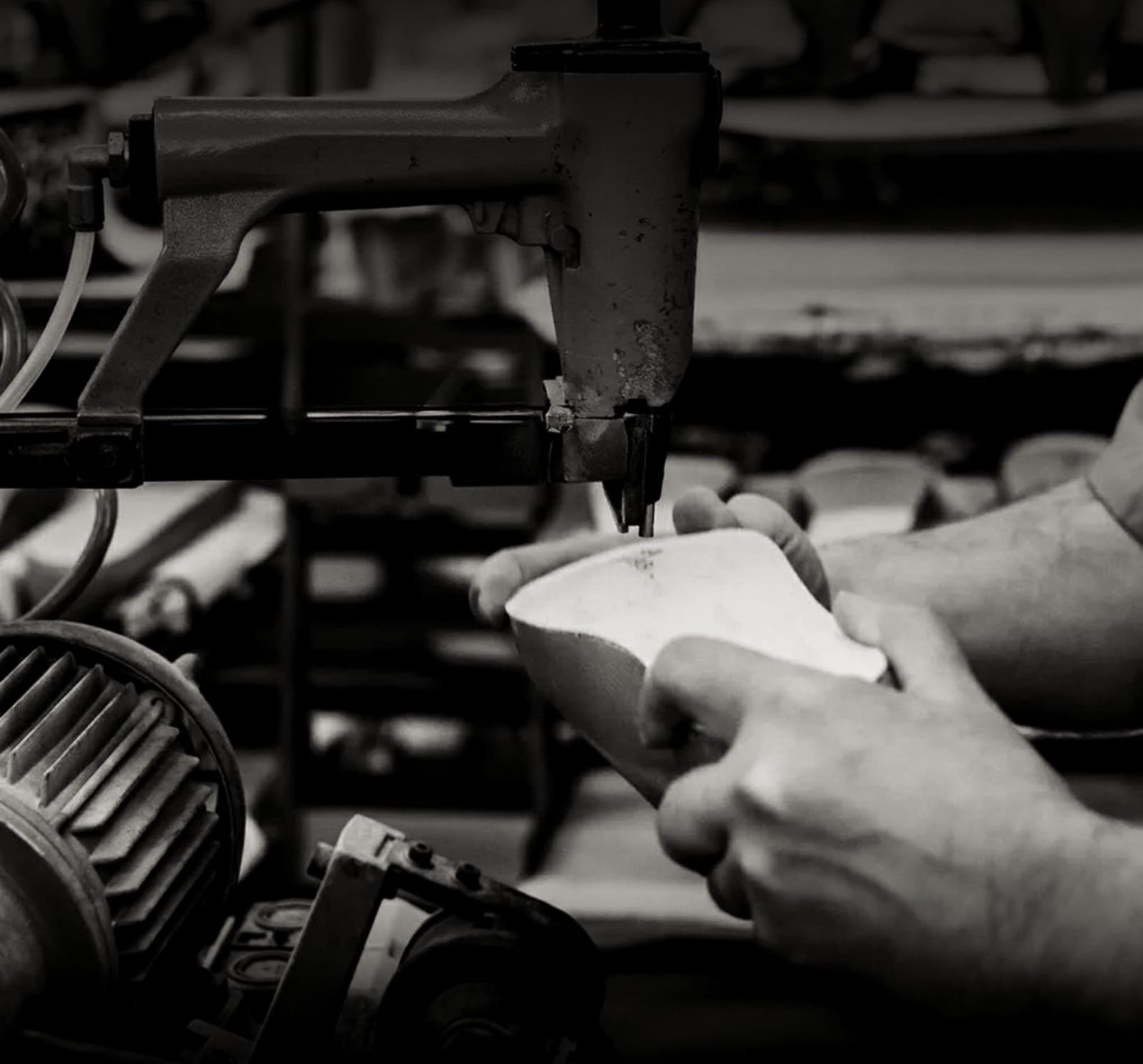 WhatsApp Image 2025-11-09 at 3.38.18 PM